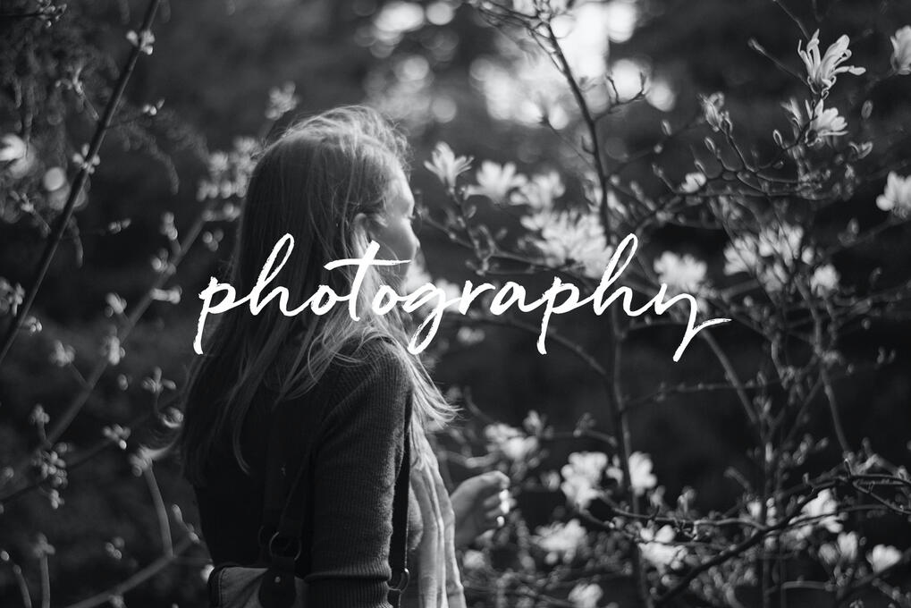 the word "photography" on a dreamy black-and-white photo of a girl walking towards a flower bush, by tayylin.com