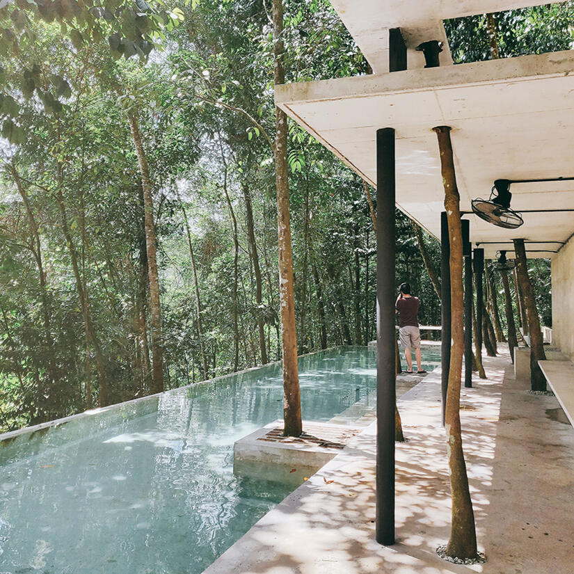 a turquoise swimming pool, steeped in sunlight and surrounded by the forest and a minimal concrete structure, by tayylin.com